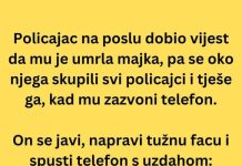 VIC DANA: Policajac na poslu