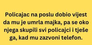VIC DANA: Policajac na poslu