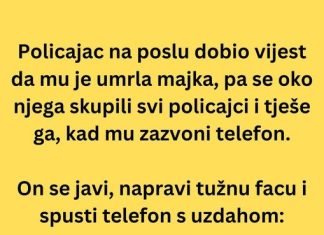 VIC DANA: Policajac na poslu