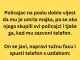 VIC DANA: Policajac na poslu