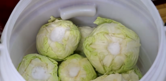 Koliko soli staviti na 10 litara vode za kiseli kupus: Evo prave količine za odličan rasol Koliko soli staviti na 10 litara vode za kiseli kupus: Evo prave količine za odličan rasol - featured image