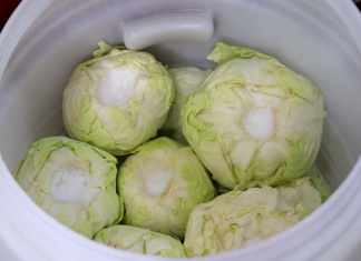 Koliko soli staviti na 10 litara vode za kiseli kupus: Evo prave količine za odličan rasol Koliko soli staviti na 10 litara vode za kiseli kupus: Evo prave količine za odličan rasol - featured image