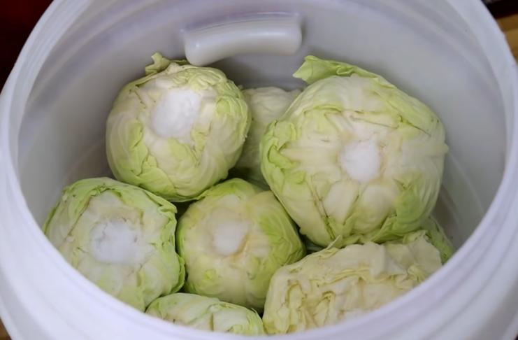 Koliko soli staviti na 10 litara vode za kiseli kupus: Evo prave količine za odličan rasol Koliko soli staviti na 10 litara vode za kiseli kupus: Evo prave količine za odličan rasol - featured image
