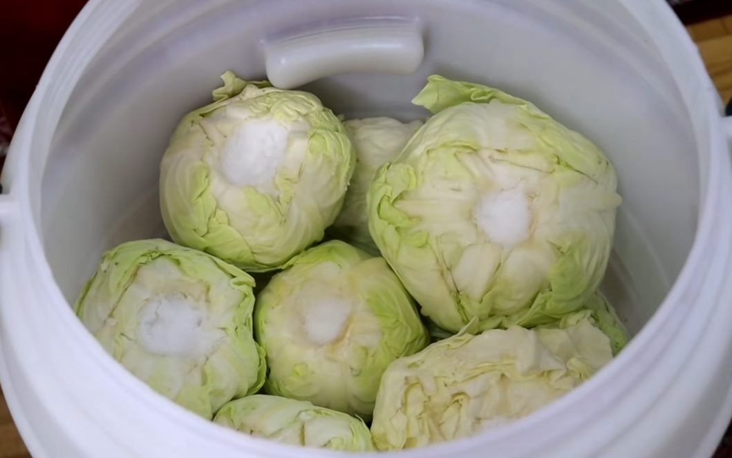 Koliko soli staviti na 10 litara vode za kiseli kupus: Evo prave količine za odličan rasol - featured image Koliko soli staviti na 10 litara vode za kiseli kupus: Evo prave količine za odličan rasol - featured image