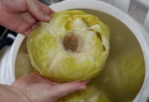 Stari trik za kiseli kupus: Bake su u bure stavljale jedan sastojak i glavice im nikad nisu propadale Stari trik za kiseli kupus: Bake su u bure stavljale jedan sastojak i glavice im nikad nisu propadale - featured image