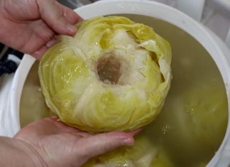 Stari trik za kiseli kupus: Bake su u bure stavljale jedan sastojak i glavice im nikad nisu propadale Stari trik za kiseli kupus: Bake su u bure stavljale jedan sastojak i glavice im nikad nisu propadale - featured image