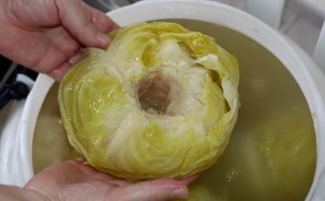 Stari trik za kiseli kupus: Bake su u bure stavljale jedan sastojak i glavice im nikad nisu propadale Stari trik za kiseli kupus: Bake su u bure stavljale jedan sastojak i glavice im nikad nisu propadale - featured image