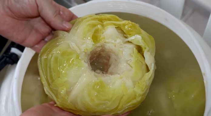 Stari trik za kiseli kupus: Bake su u bure stavljale jedan sastojak i glavice im nikad nisu propadale Stari trik za kiseli kupus: Bake su u bure stavljale jedan sastojak i glavice im nikad nisu propadale - featured image
