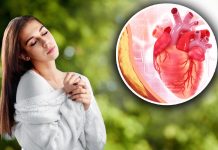 Pet jutarnjih navika čuvaju srce i krvne sudove: Šta bi trebalo da uradite u prva dva sata nakon buđenja Pet jutarnjih navika čuvaju srce i krvne sudove: Šta bi trebalo da uradite u prva dva sata nakon buđenja - featured image