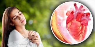 Pet jutarnjih navika čuvaju srce i krvne sudove: Šta bi trebalo da uradite u prva dva sata nakon buđenja Pet jutarnjih navika čuvaju srce i krvne sudove: Šta bi trebalo da uradite u prva dva sata nakon buđenja - featured image