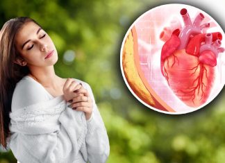 Pet jutarnjih navika čuvaju srce i krvne sudove: Šta bi trebalo da uradite u prva dva sata nakon buđenja Pet jutarnjih navika čuvaju srce i krvne sudove: Šta bi trebalo da uradite u prva dva sata nakon buđenja - featured image
