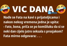VIC DANA: Cijelo jutro se…