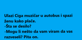 VIC DANA: Ulazi Ciga muzičar u autobus