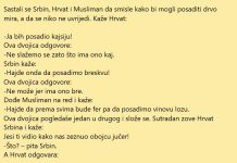 VIC DANA: Vinova loza
