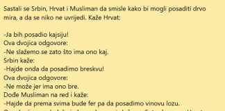 VIC DANA: Vinova loza