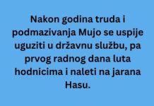 VIC DANA: Mujo u državnoj firmi