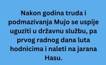 VIC DANA: Mujo u državnoj firmi