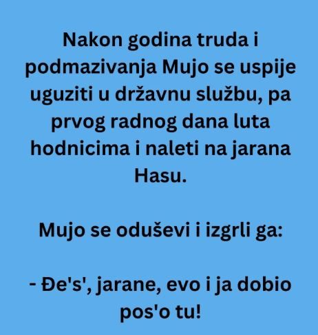 VIC DANA: Mujo u državnoj firmi
