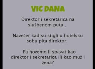 VIC DANA: Direktor i sekretarica na službenom putu