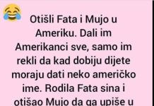 VIC DANA: Fata i Mujo u Americi