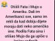 VIC DANA: Fata i Mujo u Americi