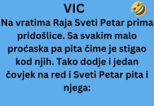 VIC DANA: Na vratima raja