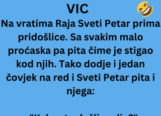 VIC DANA: Na vratima raja