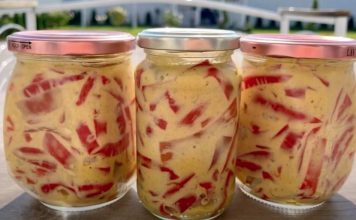 Paprike u senfu bez konzervansa: Recept za pikantnu zimnicu koja se odlično slaže uz pečenje i roštilj Paprike u senfu bez konzervansa: Recept za pikantnu zimnicu koja se odlično slaže uz pečenje i roštilj - featured image