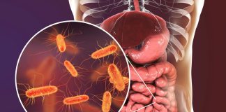 Pojedite ovu voćku svaki dan i creva će raditi kao sat: Tvrdi doktorka Pojedite ovu voćku svaki dan i creva će raditi kao sat: Tvrdi doktorka - featured image