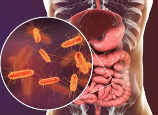 Pojedite ovu voćku svaki dan i creva će raditi kao sat: Tvrdi doktorka Pojedite ovu voćku svaki dan i creva će raditi kao sat: Tvrdi doktorka - featured image