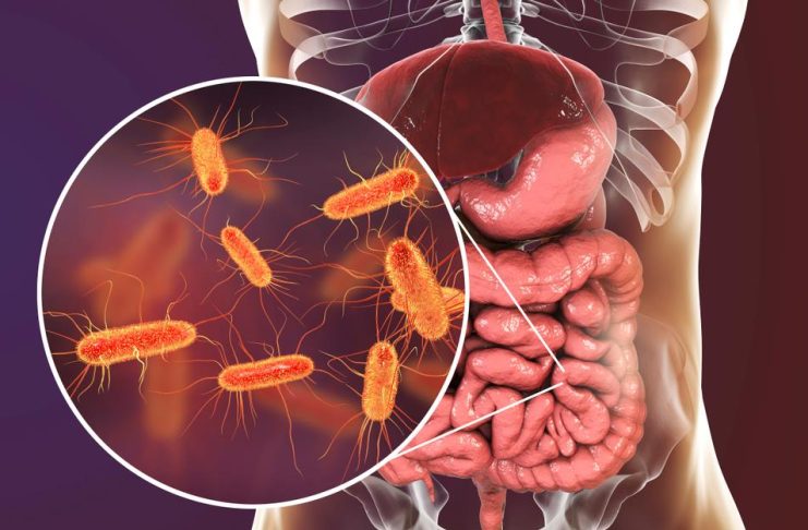 Pojedite ovu voćku svaki dan i creva će raditi kao sat: Tvrdi doktorka Pojedite ovu voćku svaki dan i creva će raditi kao sat: Tvrdi doktorka - featured image