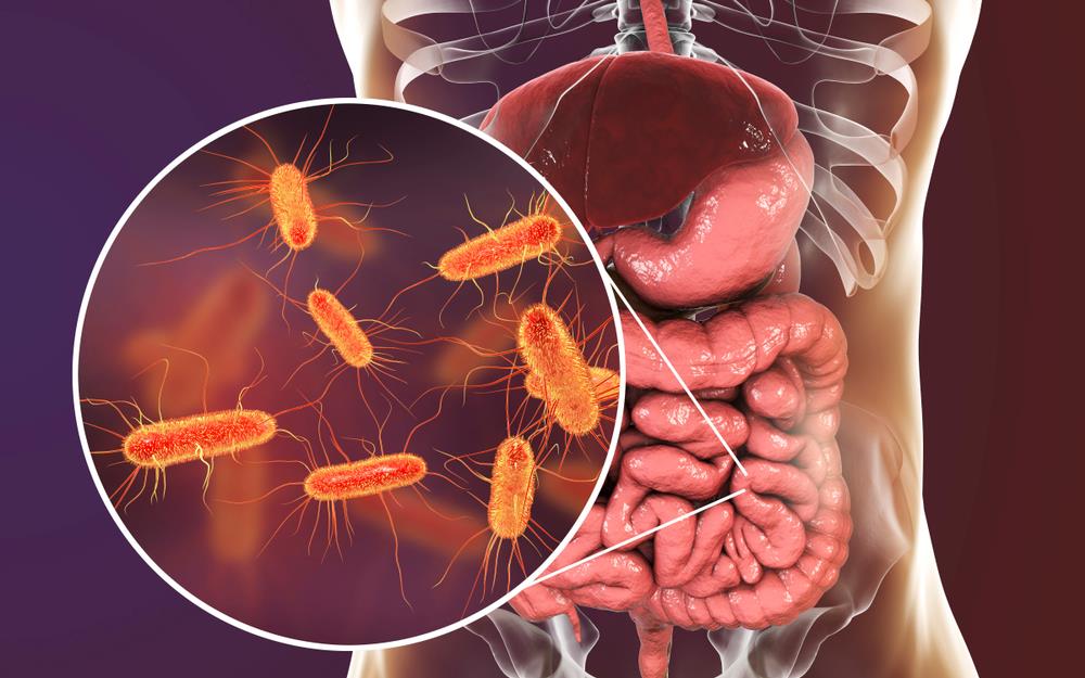Pojedite ovu voćku svaki dan i creva će raditi kao sat: Tvrdi doktorka - featured image Pojedite ovu voćku svaki dan i creva će raditi kao sat: Tvrdi doktorka - featured image