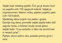 VIC DANA: Seljak i pijetao