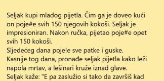 VIC DANA: Seljak i pijetao