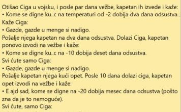 VIC DANA: Otišao Ciga u vojsku