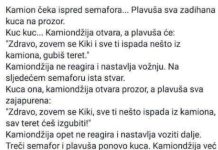 VIC DANA: Plavuša i kamiondžija