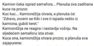 VIC DANA: Plavuša i kamiondžija