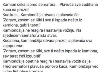 VIC DANA: Plavuša i kamiondžija