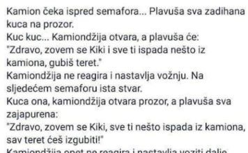 VIC DANA: Plavuša i kamiondžija