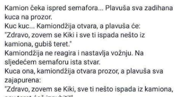 VIC DANA: Plavuša i kamiondžija