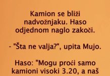 VIC DANA: Kamiondžije