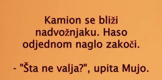 VIC DANA: Kamiondžije