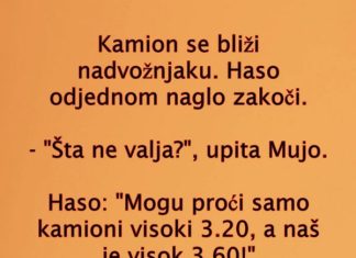 VIC DANA: Kamiondžije