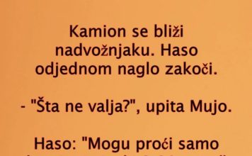 VIC DANA: Kamiondžije