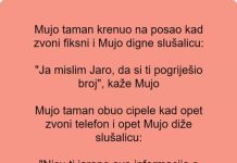 Vic dana: Zvoni fiksni telefon