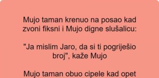 Vic dana: Zvoni fiksni telefon