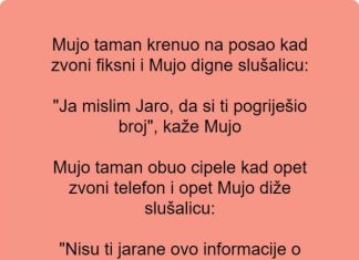 Vic dana: Zvoni fiksni telefon