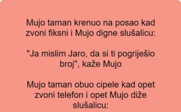 Vic dana: Zvoni fiksni telefon