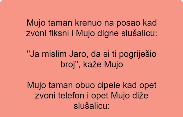 Vic dana: Zvoni fiksni telefon